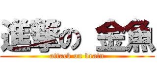 進撃の 金魚 (attack on brain)