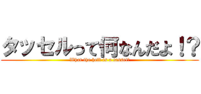 タッセルって何なんだよ！？ (What the hell is a tassel?)