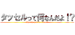 タッセルって何なんだよ！？ (What the hell is a tassel?)