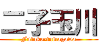 二子玉川 (Futako-tamagawa)