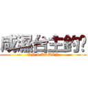咸濕台主釣厹 (ON 9 ADMIN)