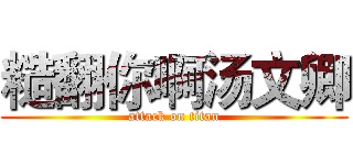 糙翻你啊汤文卿 (attack on titan)