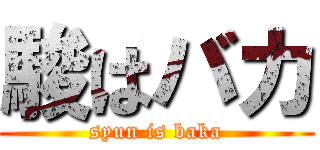 駿はバカ (syun is baka)