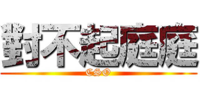 對不起庭庭 (CSO)