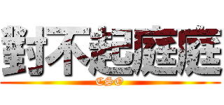 對不起庭庭 (CSO)