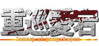 重巡愛宕 (lunacy of panpakapan)