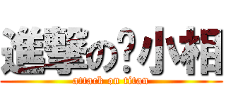 進撃の喵小相 (attack on titan)