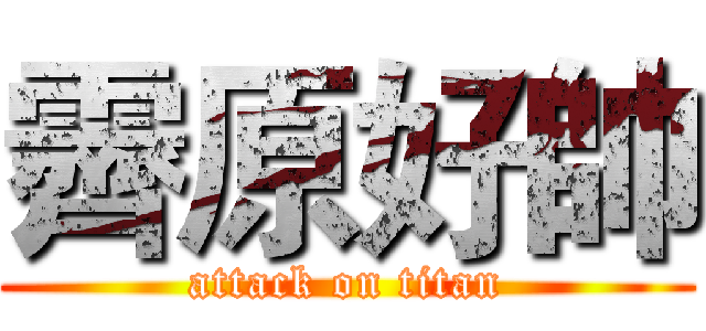 霽原好帥 (attack on titan)