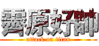 霽原好帥 (attack on titan)