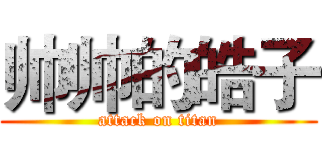 帅帅的皓子 (attack on titan)