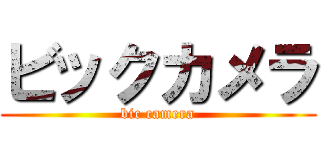 ビックカメラ (bic camera)