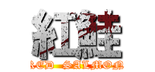 紅鮭 (RED  SALMON)