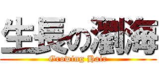 生長の瀏海 (Growing Hair)