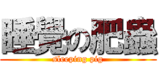 睡覺の肥蟲 (sleeping pig)