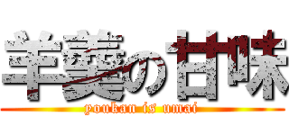 羊羹の甘味 (youkan is umai)
