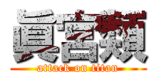 眞宮類 (attack on titan)