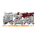 眞宮類 (attack on titan)