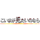 こいまが見たいのなら (OK だよ！)