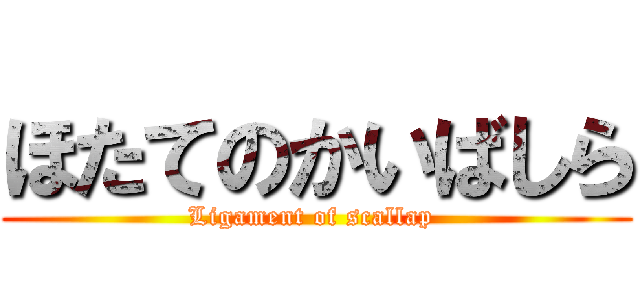 ほたてのかいばしら (Ligament of scallap )