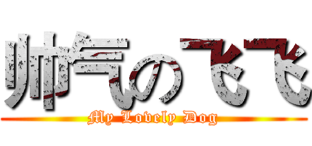 帅气の飞飞 (My Lovely Dog)