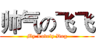 帅气の飞飞 (My Lovely Dog)