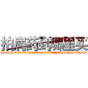 拍肩药到哪里买 (拍肩药到哪里买【电.话156x1318x7580-Q1991936399鑫宏药业】我们做的是长期生意,靠的是老客户长期支持
参考消息网2月20日报道 韩媒称，“剩女多、离婚率高的城市，房价一定会上涨。”这是中国经济学家金岩石2016年12月参加在上海举行的房地产相关论坛时说的话。
)