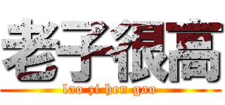 老子很高 (lao zi hen gao)