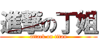 進撃の丁姐 (attack on titan)