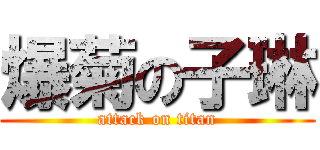 爆菊の子琳 (attack on titan)