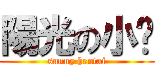陽光の小电 (sunny hentai)