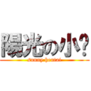 陽光の小电 (sunny hentai)