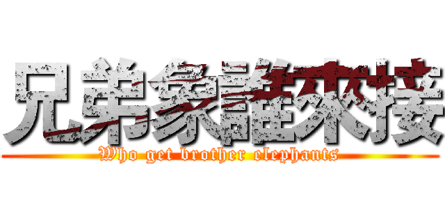 兄弟象誰來接 (Who get brother elephants)