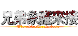 兄弟象誰來接 (Who get brother elephants)