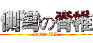 側彎の脊椎 (Spine YY)