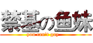 禁基の鱼妹 (you can't gay   )