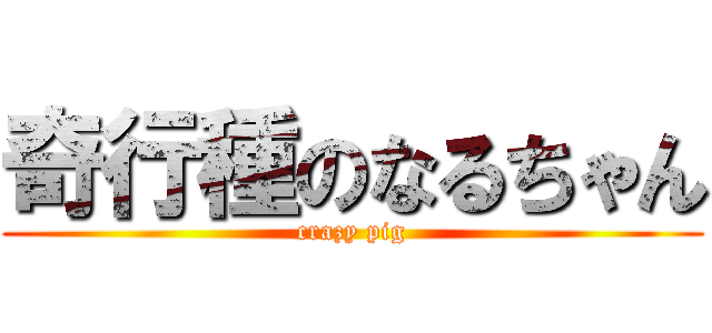 奇行種のなるちゃん (crazy pig)