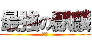 最強の麒麟 (せこい)
