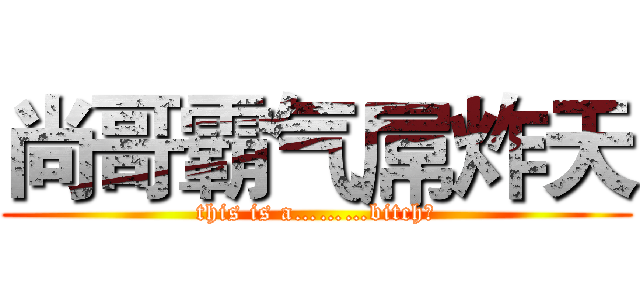 尚哥霸气屌炸天 (this is a………bitch?)