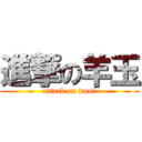 進撃の羊玉 (attack on wool)