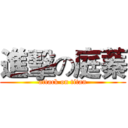 進擊の庭蓁 (attack on titan)