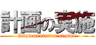 計画の実施 (Implementation of plan)