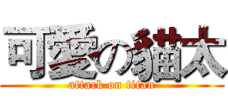 可愛の貓太 (attack on titan)