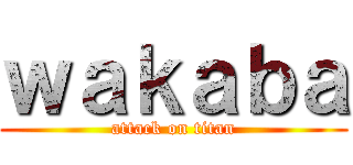 ｗａｋａｂａ (attack on titan)