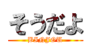 そうだよ (BINJOU)