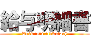 給与明細書 (Document of　Salary)