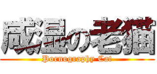 咸湿の老猫 (Pornography Cat)