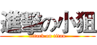 進擊の小狙 (attack on titan)