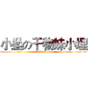 小坠の干物妹小埋 (attack on titan)