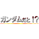 ガンダムだと！？ ()