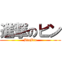 進撃のビン (BinBin)